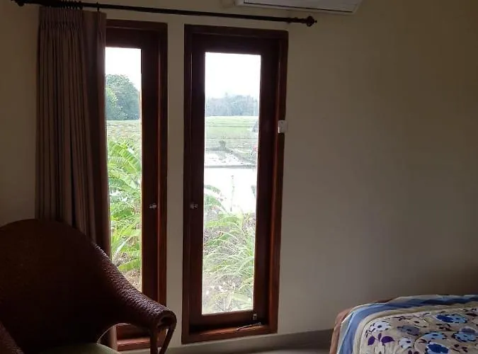 Bali Yoga Vs