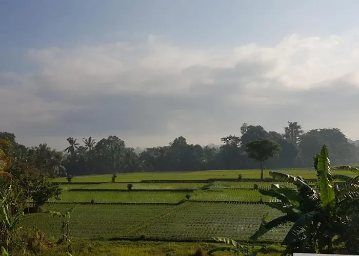 Bali Yoga Vs ロッジ